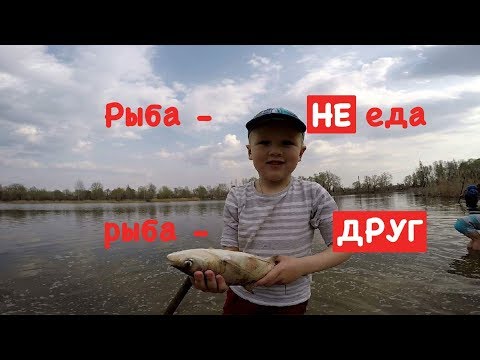 Видео: Озеро Редькино (Министерка), Киев. РАДИ ТАКИХ МОМЕНТОВ СТОИТ ЖИТЬ!