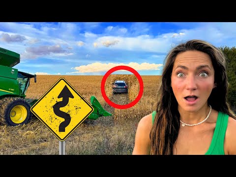 Видео: Я нашел брошенную машину, потерпевшую аварию на моем поле.