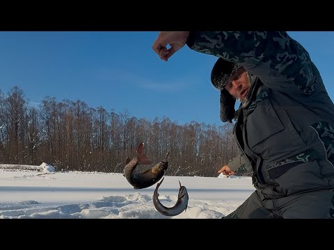 Видео: Горная рыбалка-Таймени отрывают снасти