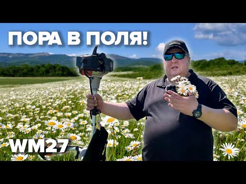 Видео: ПОРА В ПОЛЯ! Бензокоса CAIMAN WM27 #дачасадогород #2024 #топ5 #лучшие #бензокоса #мотокоса#газон