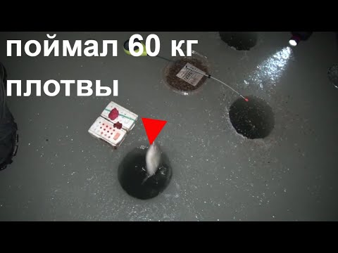 Видео: Зимняя рыбалка на плотву | Поймал 60 кг плотвы