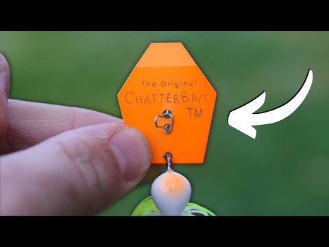 Видео: Последнее видео CHATTERBAIT, которое вы когда-либо смотрели
