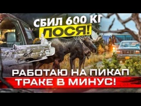 Видео: Работа в USA на Пикап Траке 2023 | Сбил лося | Неделя в минус | Получилось ли заработать?