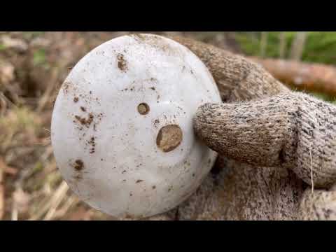 Видео: Коп по старине. Финские фундаменты. Неудачная весна 24-го...