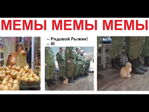 Видео: Большая подборка приколов от Макса Максимова