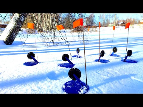 Видео: РЫБА ЕСТЬ! Жерлицы на реке