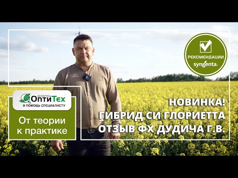 Видео: Новинка! Гибрид СИ Глориетта – сияние Ваших полей! Отзыв ФХ Дудича Г.В. Лидского района.