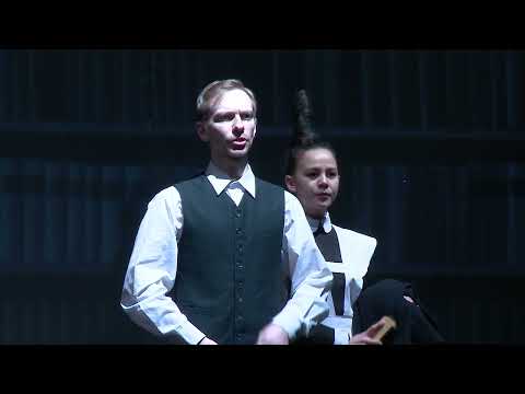 Видео: Спектакль "Собачье сердце" реж.  А. Терёхин