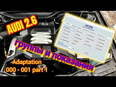 Видео: Как Лечить и Диагностировать Ауди 2.6  (Часть 1 ) #диагностикаауди #группыдиагностики #vcds #ауди26