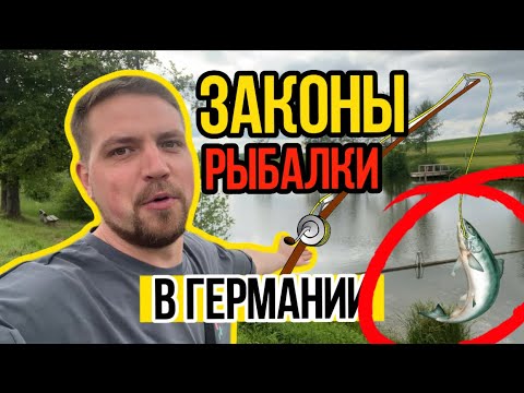 Видео: Сколько стоит рыболовная лицензия (Angelschein )💸 В Германии И можно ли рыбачить без неё?