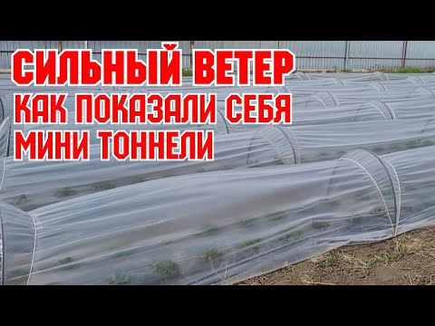 Видео: Бешеный ветер!!! Как показали себя мини тоннели!!!