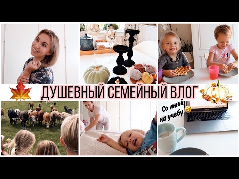 Видео: 🍁ПОКУПКИ ОСЕННЕГО ДЕКОРА🤩ВСТРЕЧА С ОДНОКЛАССНИКАМИ💇🏽‍♀️НОВЫЙ ЦВЕТ ВОЛОС🥘ГОТОВИМ ГРАТЕН И ВАФЛИ🥞