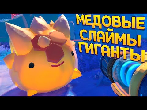 Видео: МЕДОВЫЕ СЛАЙМЫ ГИГАНТЫ ( Slime Rancher 2 )