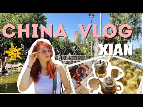 Видео: ВЫЖИТЬ В КИТАЕ МЕСЯЦ ЧАСТЬ 1 | СИАНЬ | ЛАНЬЧЖОУ