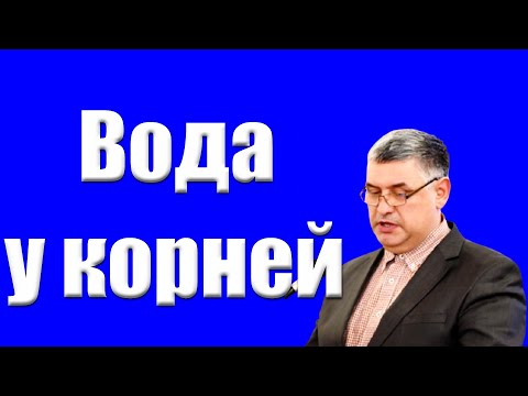 Видео: "Вода у корней" Горбунов А.И.