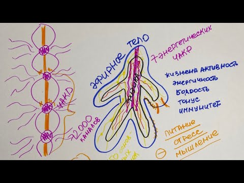 Видео: Эфирное тело, энергетические каналы и чакры