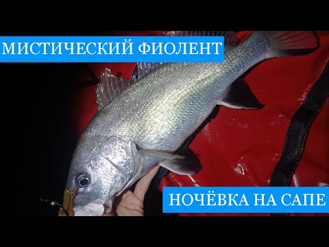 Видео: Лето в СЕВАСТОПОЛЕ! - Рыбалка и охота на Фиоленте, скалы Орест и Пилат и ночевка на Яшмовом пляже!