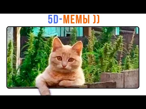 Видео: 5D-мемы. РЖАКА! ))) Приколы | Мемозг 1375