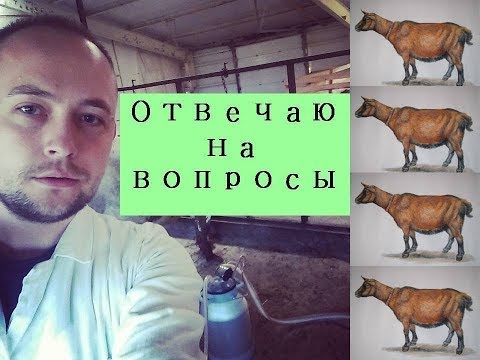 Видео: Кормление, запуск и многое другое о козах///Ответы на комментарии № 6