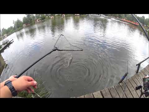 Видео: Карп на креветку!!!
