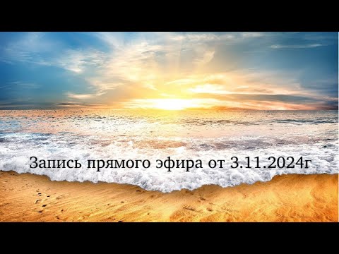 Видео: Прямой эфир от 3.11.2024г