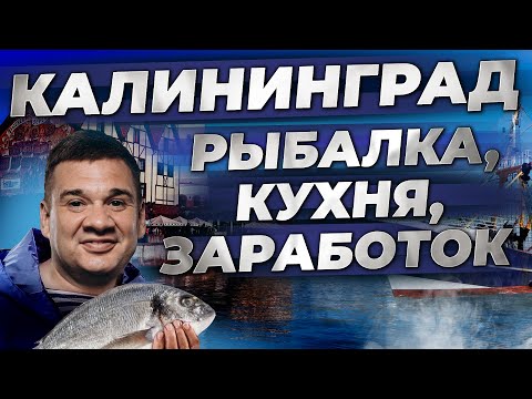 Видео: Как делают шпроты? Еда и рыбалка в Калининграде | Рыболовный бизнес | Андрей Даниленко