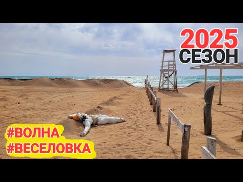 Видео: Мазутный апокалипсис! Кто спасает Черное море? Сезон 2025 #Веселовка + #Волна