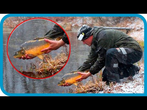 Видео: ЗАПУСКАЮ РЫБУ В ДЕРЕВЕНСКИЙ ПРУД!