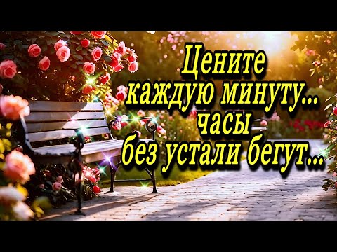 Видео: 💗☕️Доброе Утро! Хорошего Дня!🌹Для Друзей! Заряд Позитива на Весь День!💞