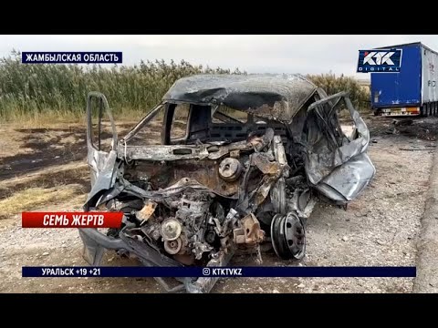 Видео: Семь человек погибли в ДТП на трассе близ Тараза