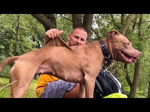 Видео: Подсушились на тарзанке. Новый трюк! Опять неповезло на прогулке. Моё традиционное блюдо🤤