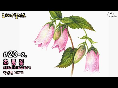 Видео: [Цветочный рисунок / Ботаническое искусство] № 23-2. Рисунок цветным карандашом колокольчика