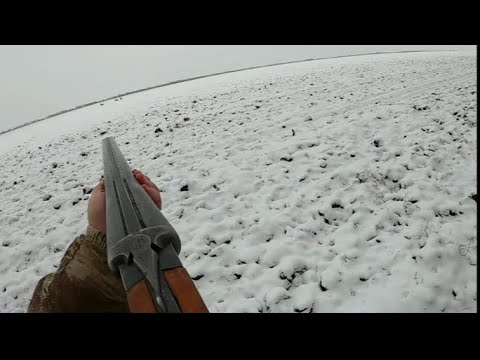 Видео: ЗАГОННАЯ ОХОТА НА КОСУЛЮ ОЧЕНЬ ТРУДОВОЙ ДЕНЬ#hunting #охота #рекомендации