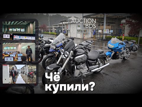 Видео: Чё купили? (31 октября) Торги из зала.