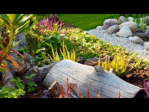 Видео: 15.12.2024 Лесной уголок.  Идеи для сада. Рододендроны, вереск, земляника. Торфяная клумба.