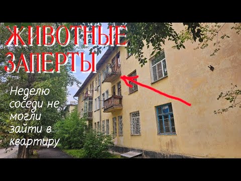 Видео: Эвакуация животных из запертой квартиры/неделя без еды и воды/ help save the animals