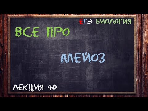 Видео: Л.40 | МЕЙОЗ | ОБЩАЯ БИОЛОГИЯ ЕГЭ