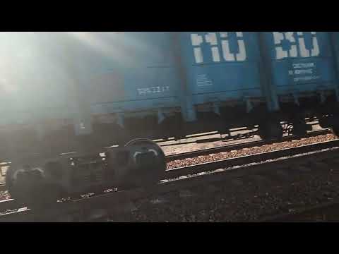 Видео: 5 ноября 2025 г.