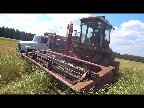 Видео: Он снова заработал УЭС-280 + КПК-3000 "ПАЛЕССЕ FH40". Силосование в самом разгаре.