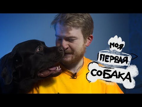 Видео: МОЯ ПЕРВАЯ СОБАКА