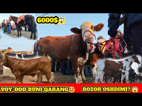 Видео: QUVASOY BEXIZOR MOL BOZORI MAZZA QILIB TOMOSHA QILING AZIZLAR 😇31 октября 2025 г.