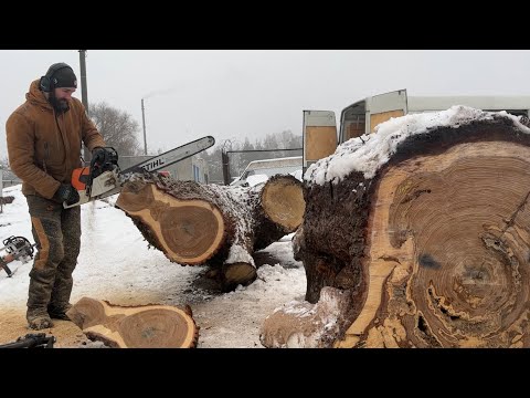 Видео: Как так? Все пилы перестали пилить