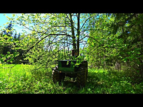 Видео: В июне месяце на пчёл охочусь. Ловушки расставлял, дрова заготовлял.