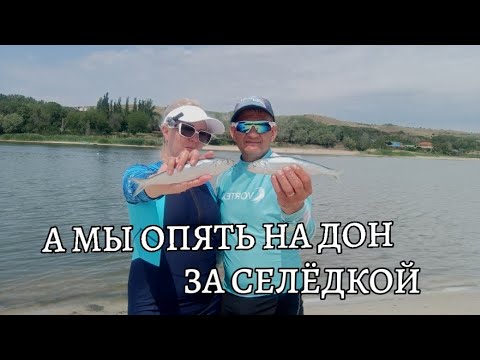 Видео: На Дон за селëдкой. 10 июня 2025 года.