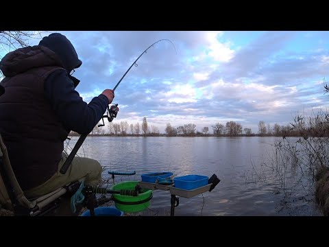 Видео: #рыбалка#фидер#плотва#десна#      Ловля плотви на Десні.Фідер.  Відкриття сезону 🐟🐟🐟2024