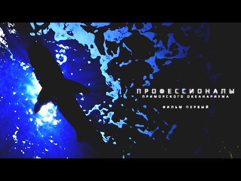Видео: Профессионалы Приморского океанариума. Фильм первый.