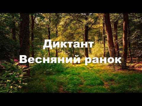 Видео: Аудіодиктант для 4 класу з укр.мови