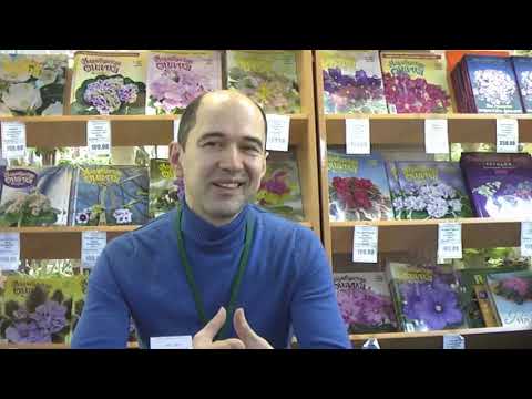 Видео: ДФ. И.А.Милехин: Изменчивость у сенполий.