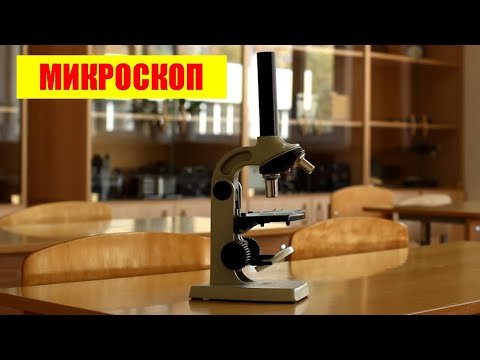 Видео: Микроскоп