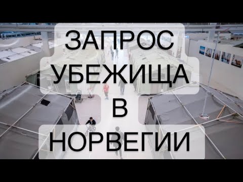 Видео: ЗАПРОС УБЕЖИЩА В НОРВЕГИИ